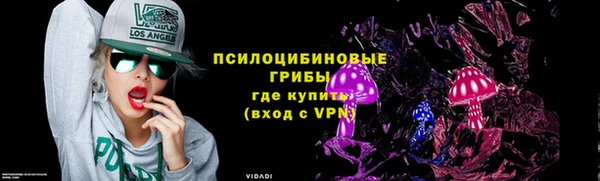 шишки Кулебаки