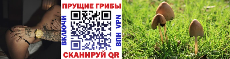 наркота  Североуральск  hydra ТОР  Галлюциногенные грибы мицелий 