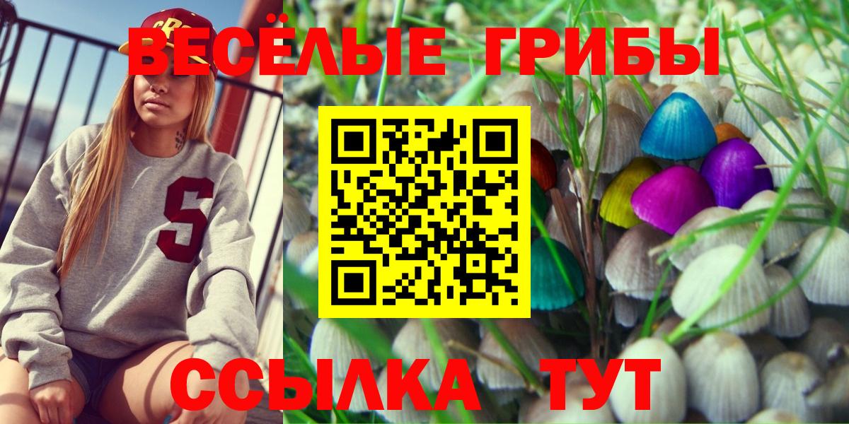 Галлюциногенные грибы Psilocybe Североуральск